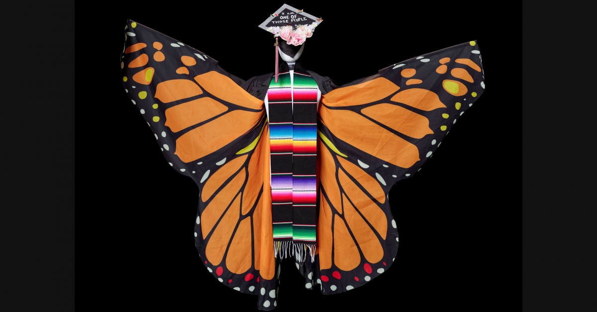 Dreamers Wings